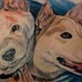 tattoo galleries/ - Husky buddies